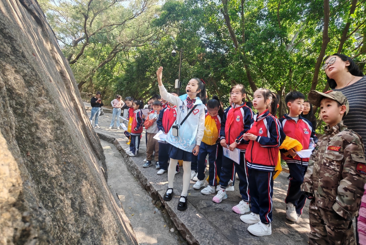 ����ɽ���������������� ����������������